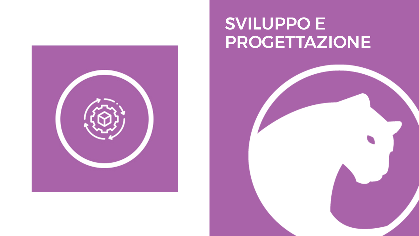 sviluppo e progettazione