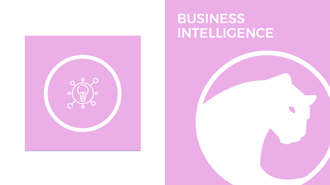 business intelligence